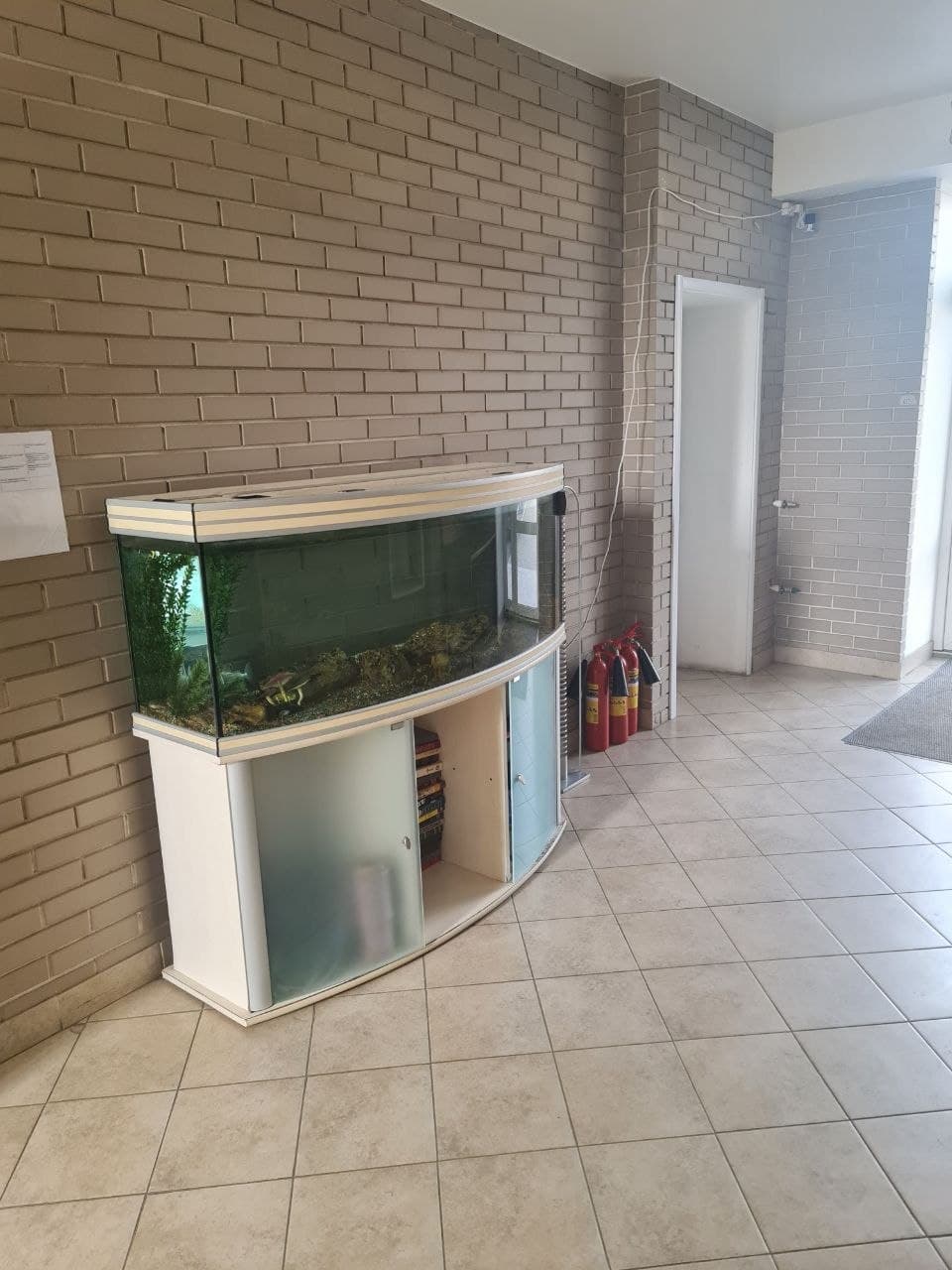 Превью 4